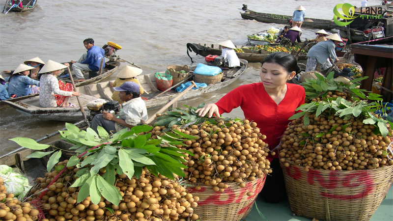 Экскурсия в Дельту реки Меконг (плавучий рынок Кайбе  и Винь Лонг) на целый день